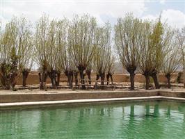  باغ صفویه تاج آباد 