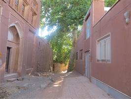 درختان کهنسال