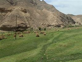 مرغزار یارند