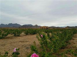 روستای تاج آباد