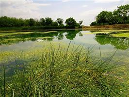 دریاچه چهارسامون